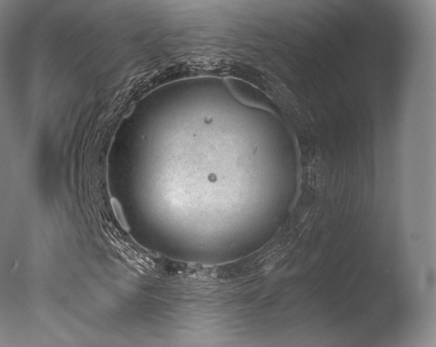 X0000077370961200610201344