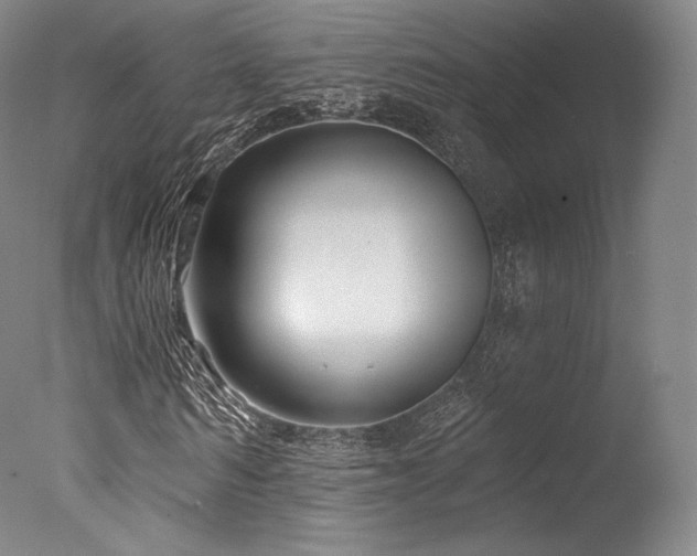 X0000077370962200610201344