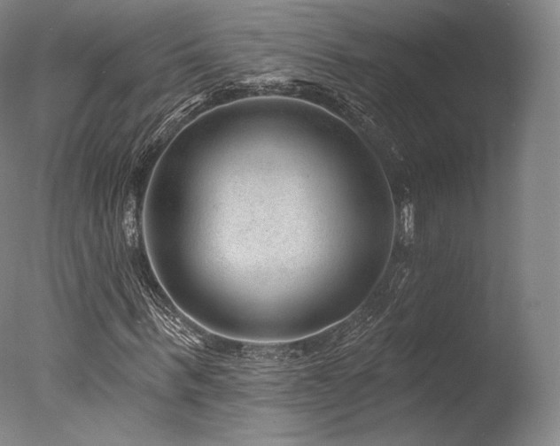 X0000077370963200610201344