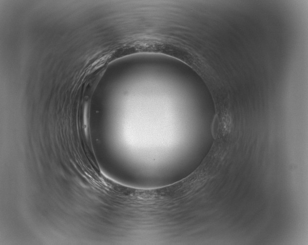 X0000077370964200610201344