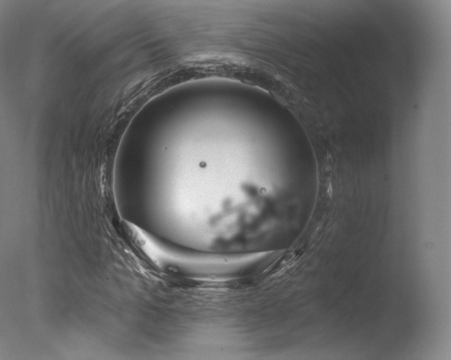 X0000077370965200610201344