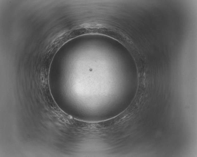 X0000077370966200610201344