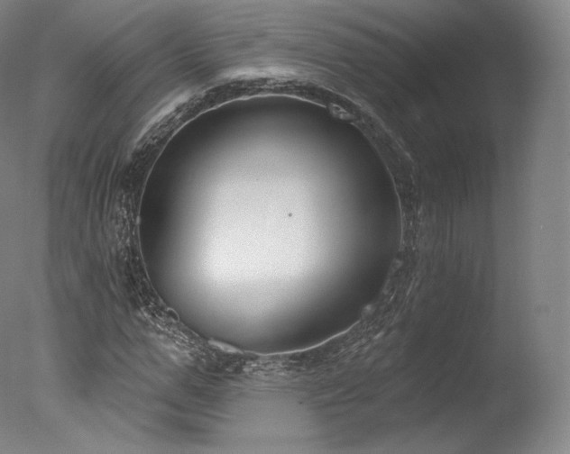 X0000077370967200610201344