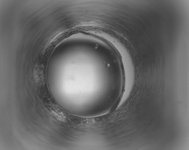 X0000077370968200610201344