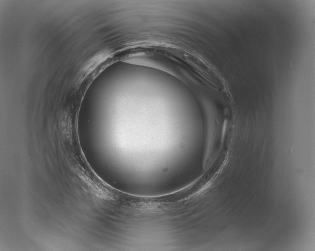 X0000077370969200610201344