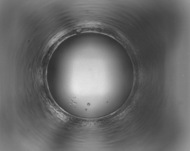 X0000077370970200610201344