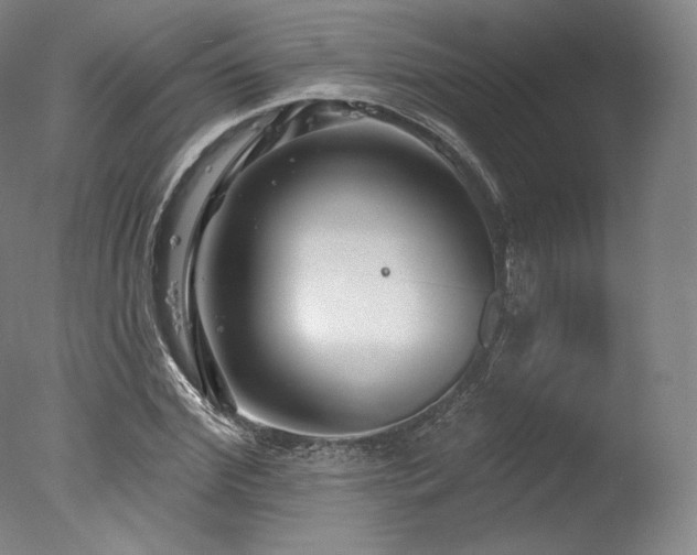 X0000077370972200610201344