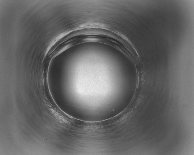 X0000077370973200610201344