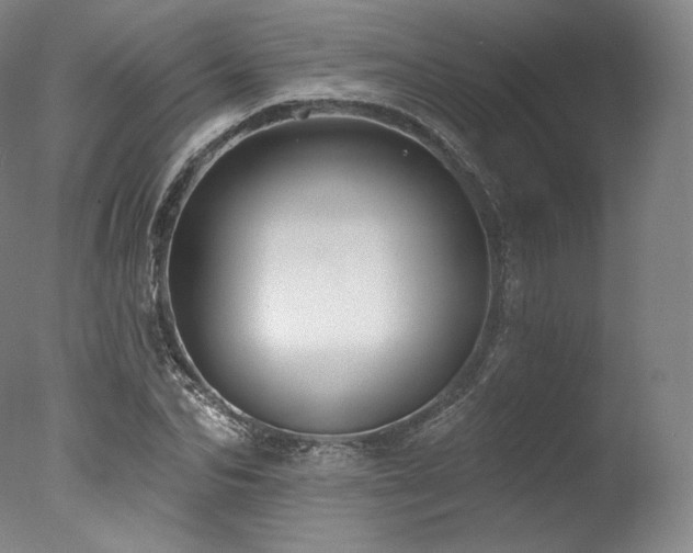 X0000077370974200610201344