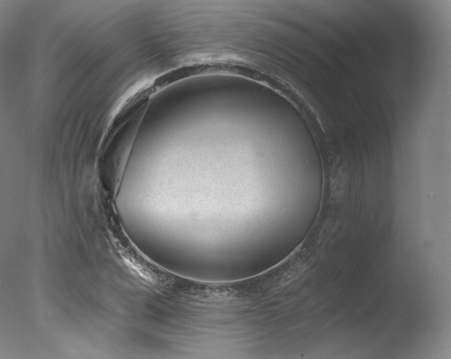 X0000077370975200610201344