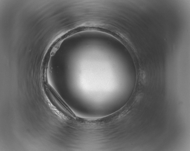 X0000077370976200610201344