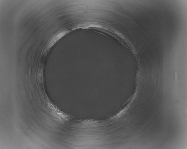 X0000077370977200610201344