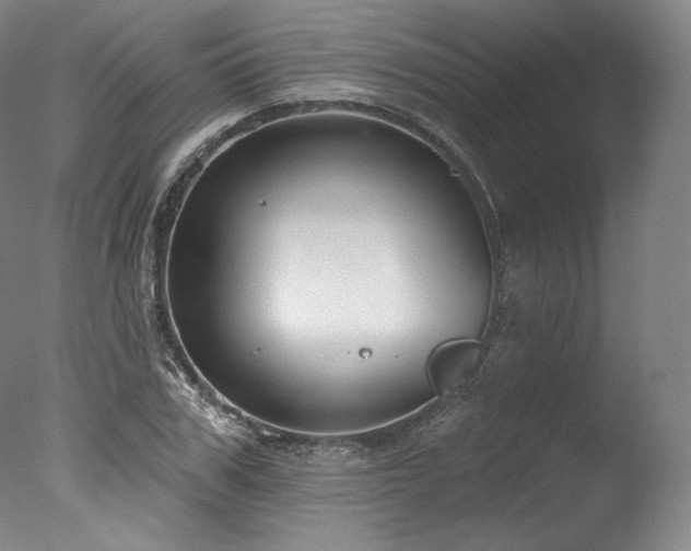 X0000077370979200610201344