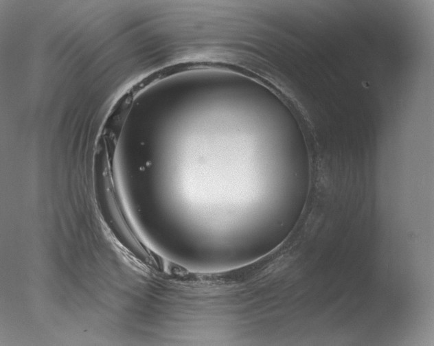 X0000077370980200610201344