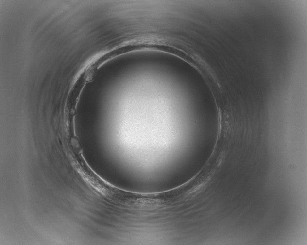 X0000077370981200610201344