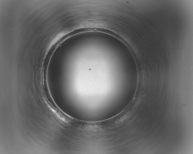 X0000077370982200610201344