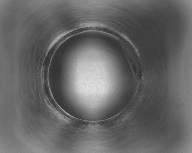 X0000077370983200610201344