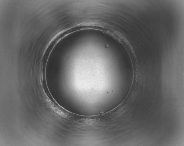 X0000077370984200610201344