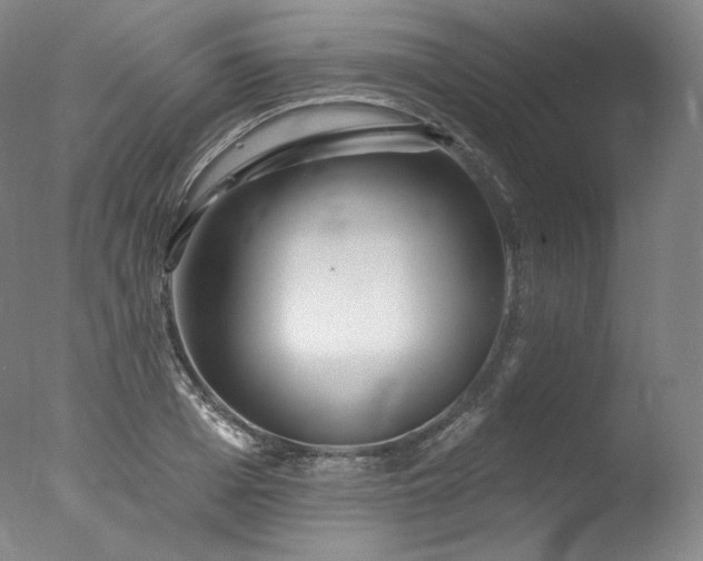 X0000077370985200610201344