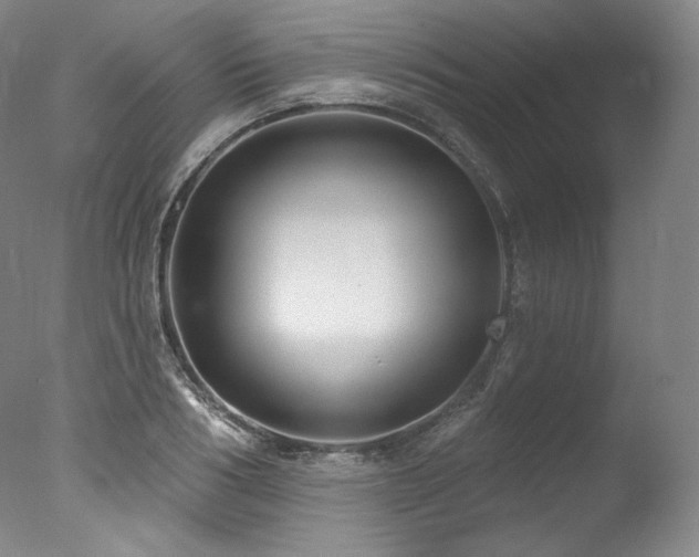 X0000077370986200610201344