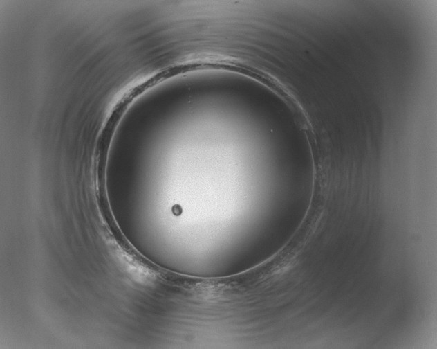 X0000077370987200610201344