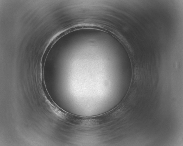 X0000077370988200610201344