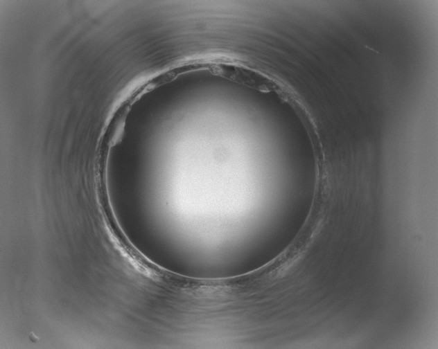 X0000077370989200610201344