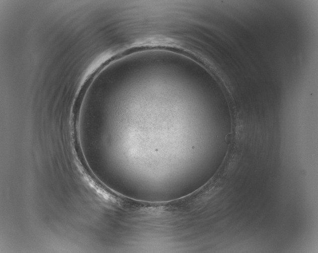 X0000077370990200610201344