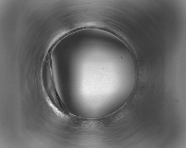 X0000077370991200610201344