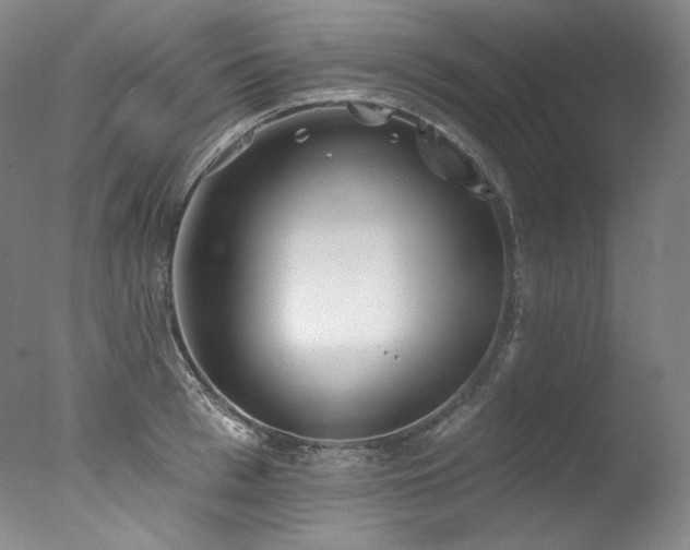 X0000077370993200610201344