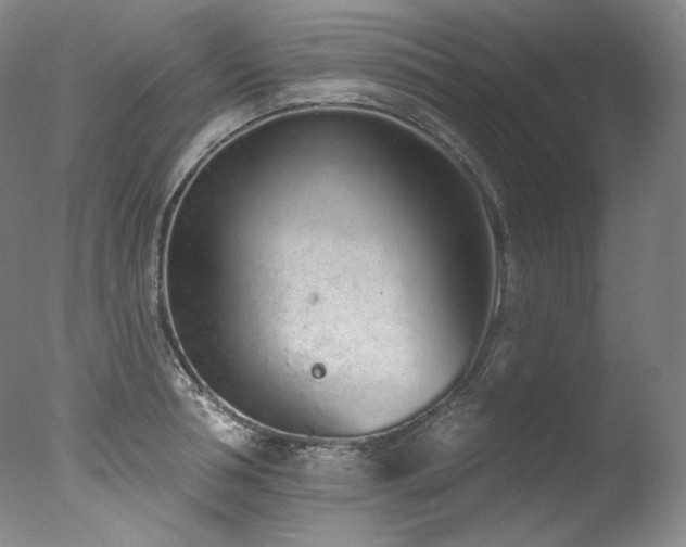 X0000077370994200610201344