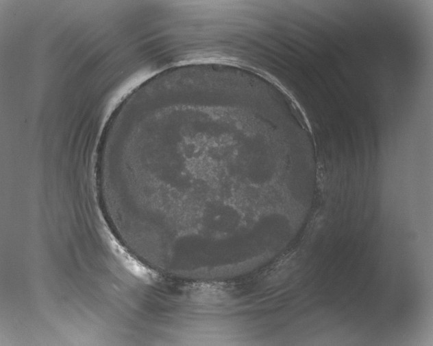 X0000077370995200610201344