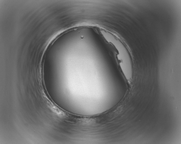 X0000077370996200610201344