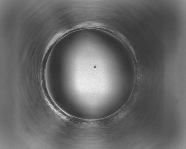 X0000077370997200610201344