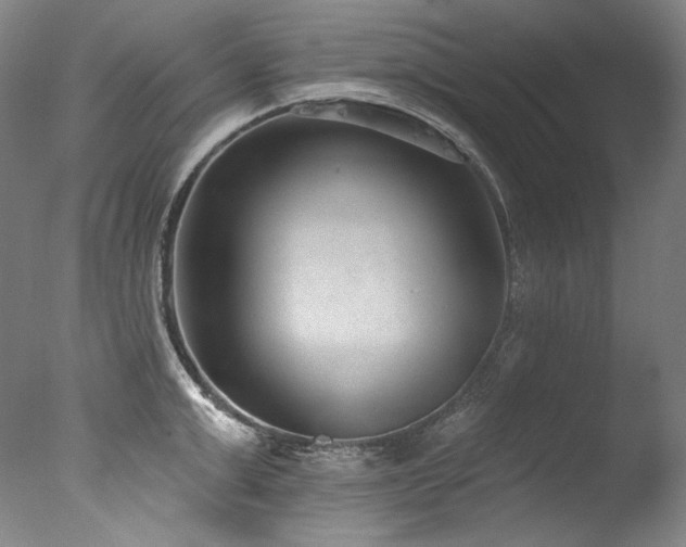 X0000077370999200610201344