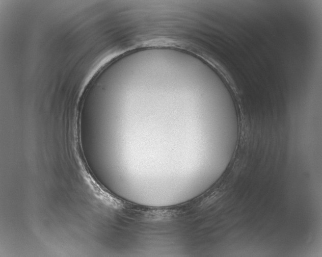 X0000077371000200610201344