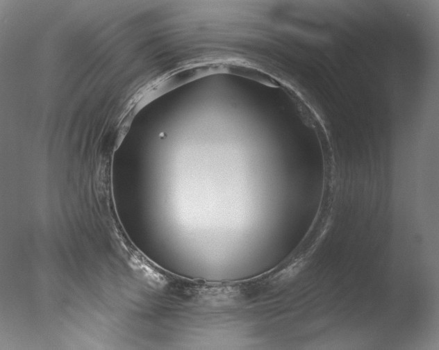 X0000077371001200610201344