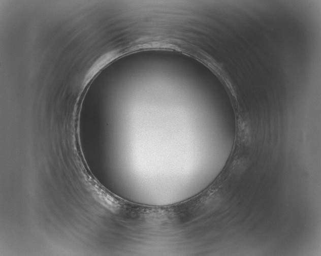 X0000077371002200610201344