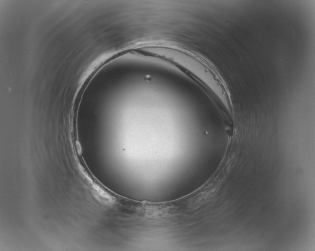 X0000077371005200610201344