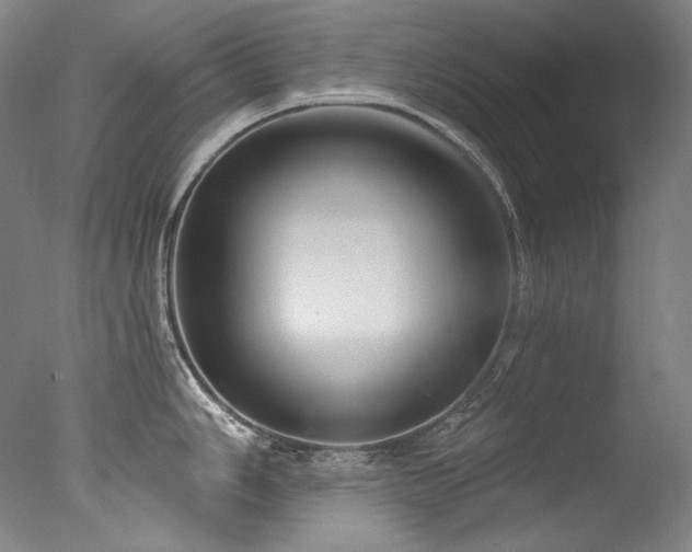 X0000077371006200610201344