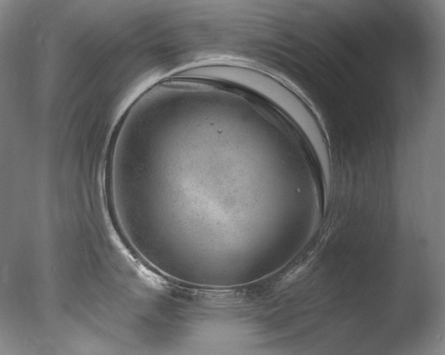 X0000077371007200610201344