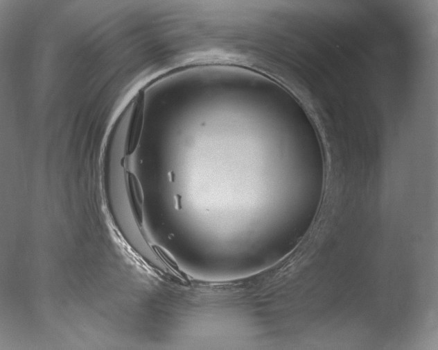 X0000077371008200610201344