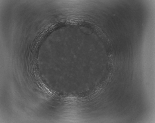 X0000077371009200610201343