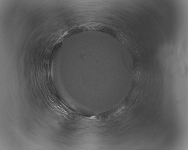 X0000077371010200610201343