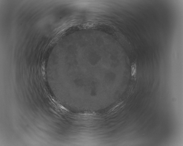 X0000077371011200610201343