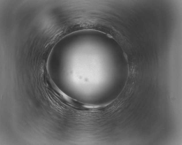 X0000077371012200610201343