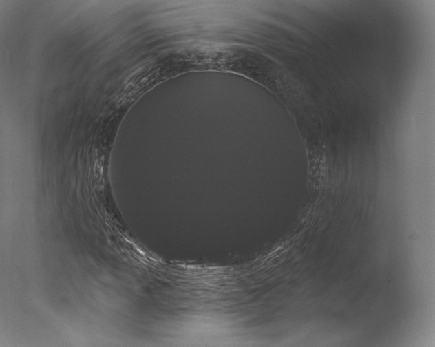 X0000077371013200610201343