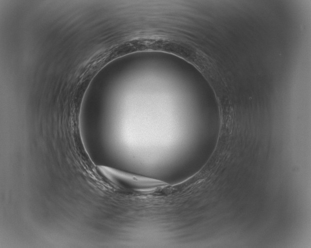 X0000077371014200610201343