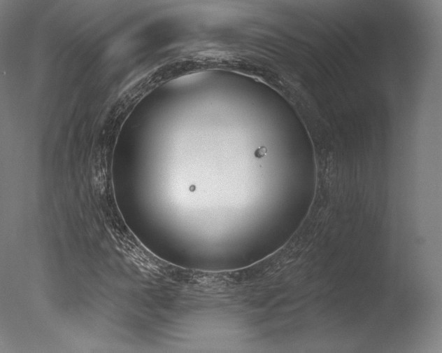 X0000077371015200610201343