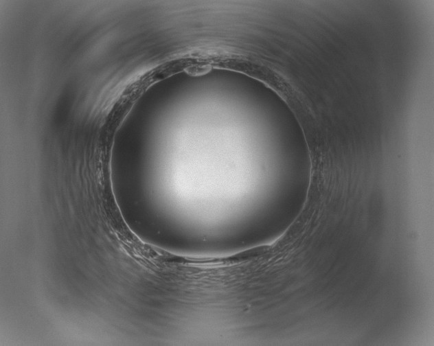 X0000077371016200610201343